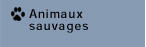 animaux sauvages