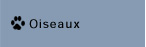 oiseaux