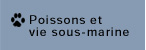 poissons et vie sous-marine